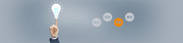 11品牌营销全案咨询服务2